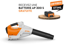 Charger l&#39;image dans la galerie, BGA250-frpromo