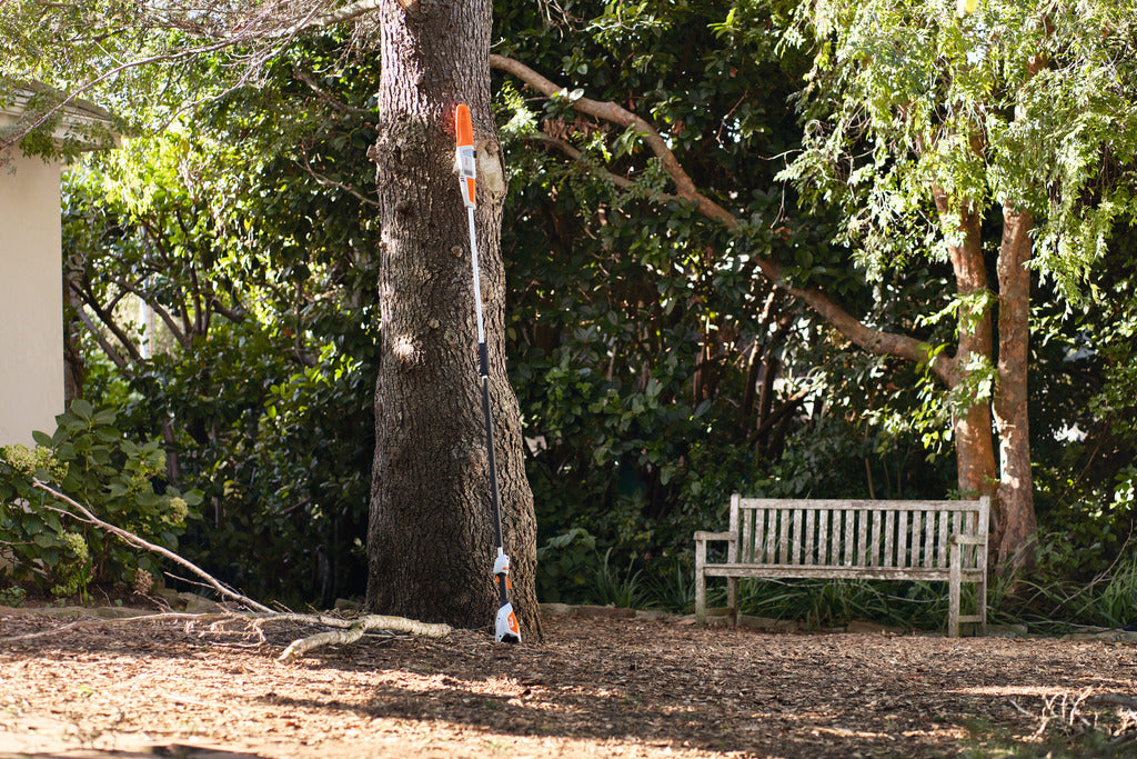 Buy the STIHL HTA 50 Battery Pole Pruner Today! – STIHL Direct Canada